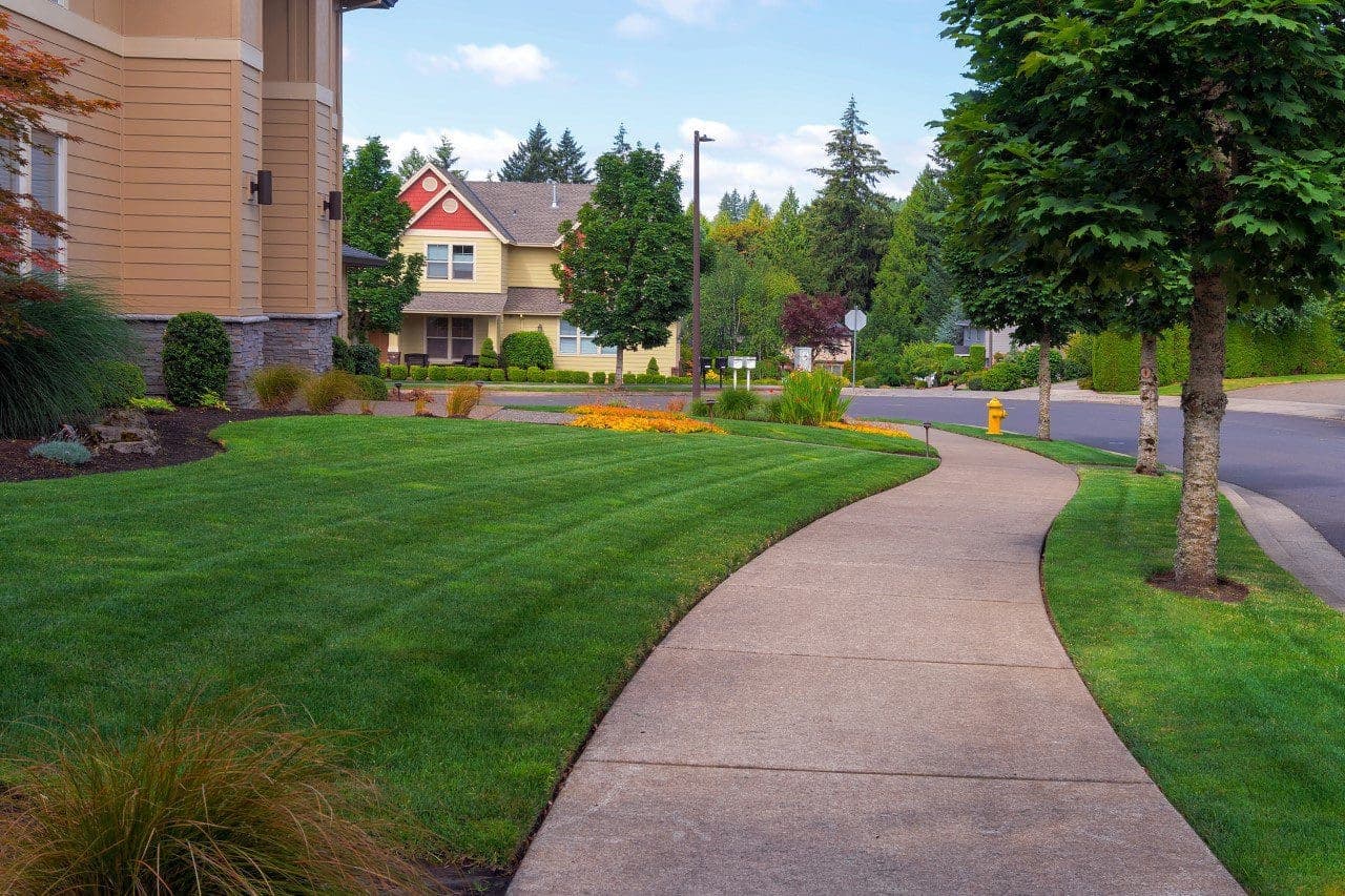 Sidewalk in a Buffalo-area residential neighborhood